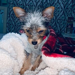 Meet your Posher, Valeria